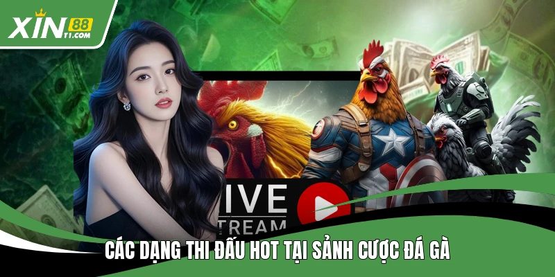 Các dạng thi đấu hot tại sảnh cược đá gà