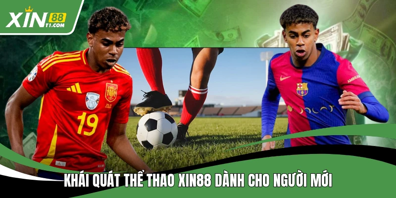 Khái quát thể thao XIN88 dành cho người mới